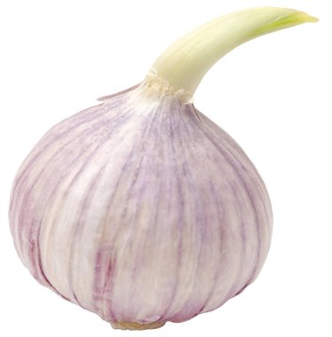 Tüm organik ve soyutlanmış sarımsak.