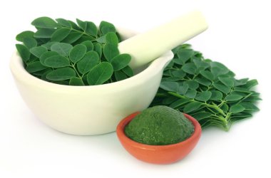 Edible moringa leaves with ground paste clipart