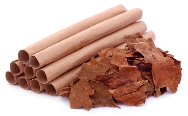 Сухие табачные листья — стоковое фото