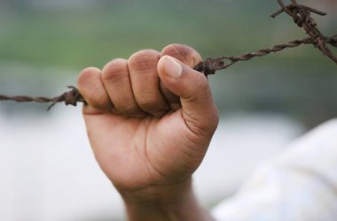 Elle dikenli telleri kavrıyor