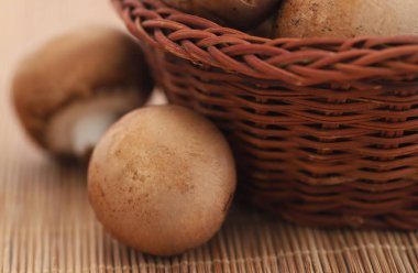 Kahverengi düğmeli mantar, taze organik ve yakın plan