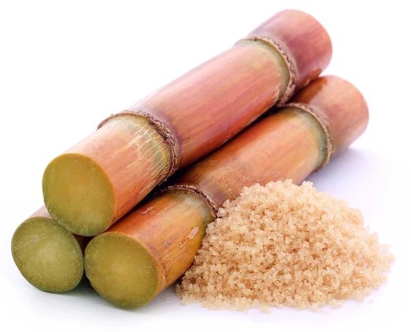 Кусок сахарного тростника с коричневым сахаром — стоковое фото