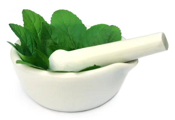 Läkemedel tulsi med mortel och stöt — Stockfoto