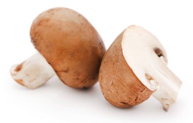 Beyaz arkaplan üzerinde kahverengi düğmeli mantar