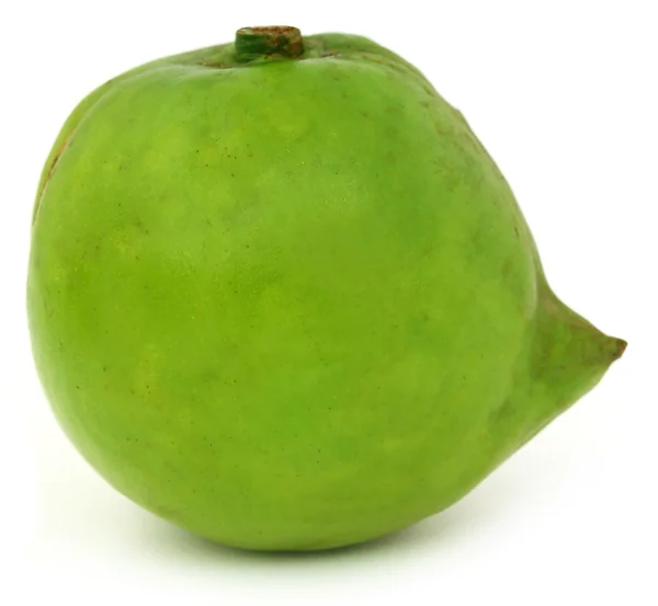 Garcinia tinctoria eller ätliga Daophal i Bangladesh — Stockfoto