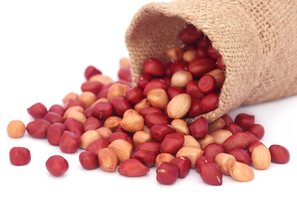 Fresh Peanuts in sack — Stock Photo, Image
