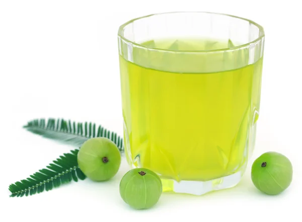 Succo di amla alle erbe con frutta fresca — Foto Stock