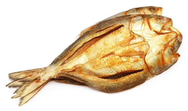 Popularne Ilish Ryby suszone — Zdjęcie stockowe