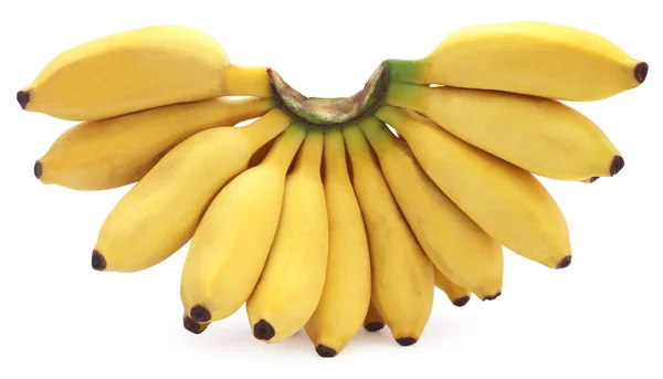 Nahaufnahme von frischen Bananen — Stockfoto