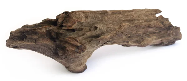 Bogwood over white background — Stock Photo, Image