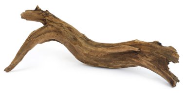 Driftwood over white background clipart