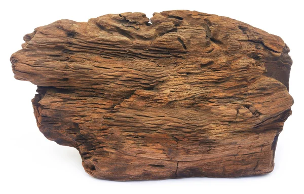 Bogwood över vit bakgrund — Stockfoto