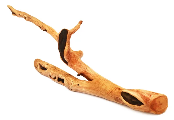 Närbild av Driftwood — Stockfoto