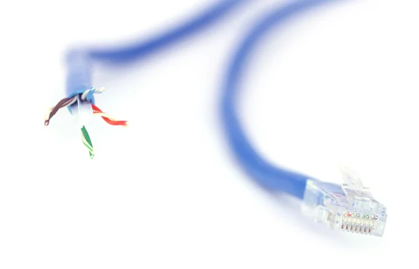 Nahaufnahme des Ethernet-Kabels — Stockfoto