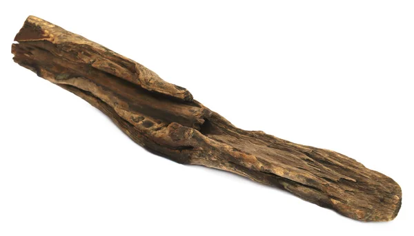 Bogwood eller drivved — Stockfoto