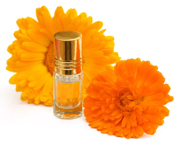 Close-up van calendula met essentie fles — Stockfoto