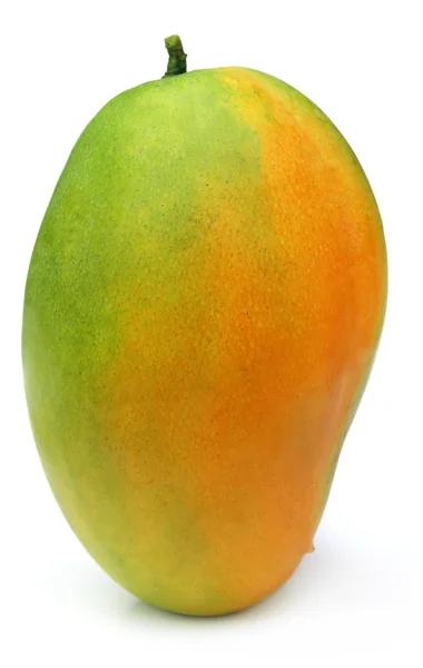 Taze mangoyu kapat. — Stok fotoğraf