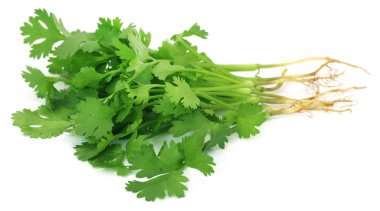 Demet taze kişniş yaprakları