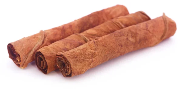 Rolled tobacco leaves — Stock Photo, Image