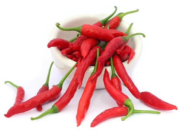 Červené chilli papričky v keramické misce — Stock fotografie