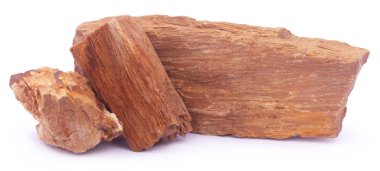 Tortul kayaçlar yakın çekim