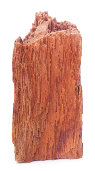 Close-up de rocha sedimentar — Fotografia de Stock