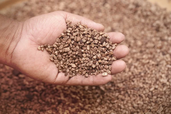 Piedras volcánicas para acuario plantado — Foto de Stock