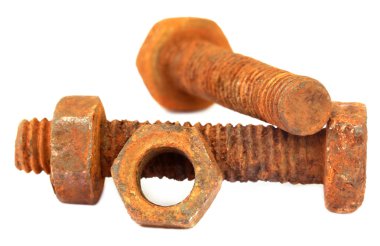 Rusty ile fındık içi