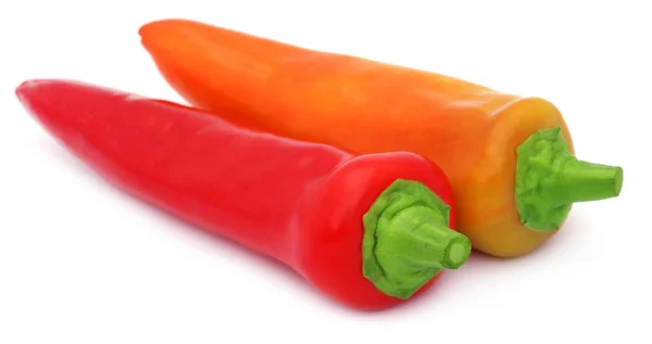 Two fresh banana peppers — Stock Photo, Image