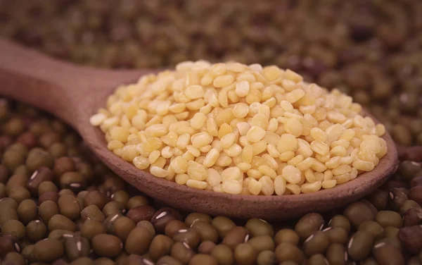 Dry mung bean — Stock Photo, Image