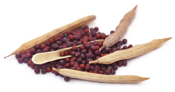 Close up of Fresh mustard — Stock Photo, Image