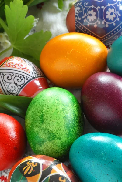 Various Easter eggs — Stock Photo, Image