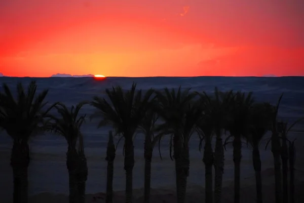 Coucher de soleil en Egypte — Photo