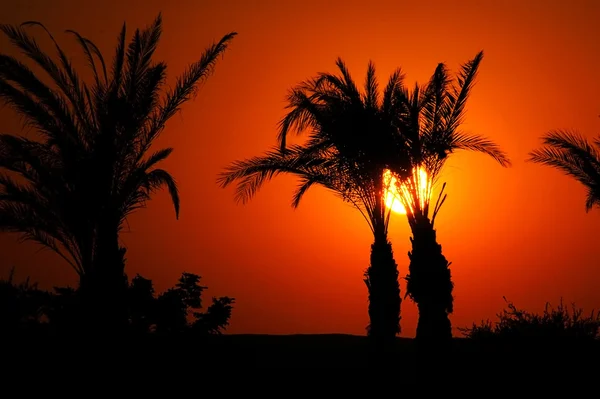 Coucher de soleil en Egypte — Photo