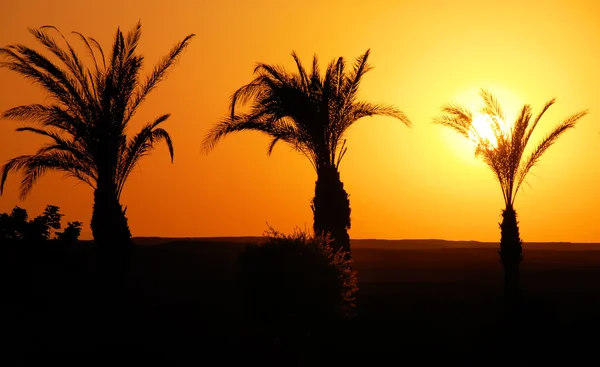 Захід сонця у Єгипті Стокове Фото