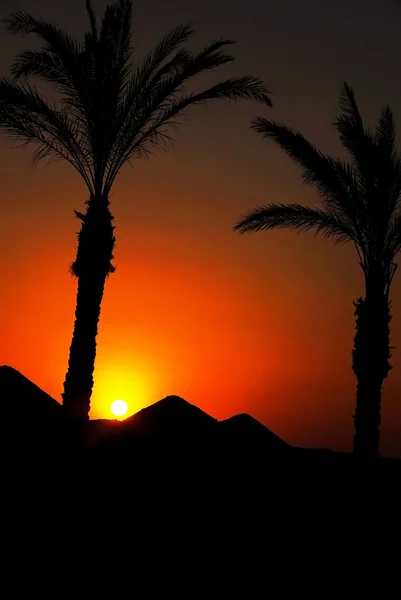 Zonsondergang in Egypte — Stockfoto