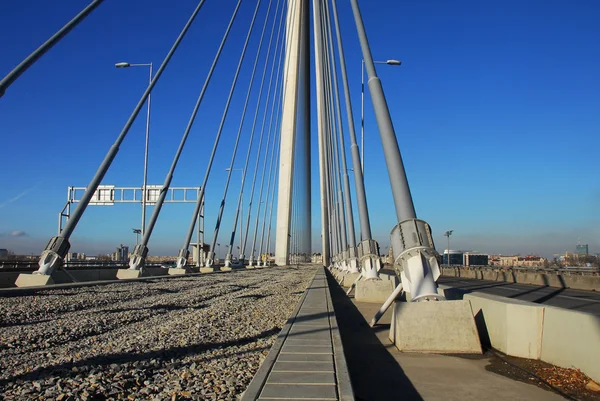Γέφυρα Άντα στο Βελιγράδι Royalty Free Εικόνες Αρχείου