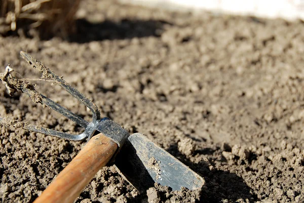 Gardening tool — Stock Photo, Image