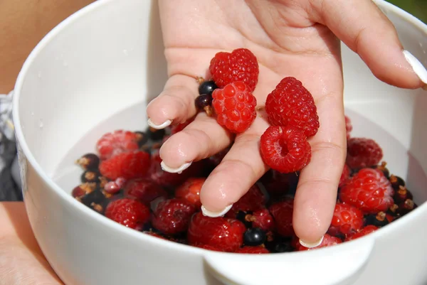 Holding raspberries in the hand — Stock Photo, Image