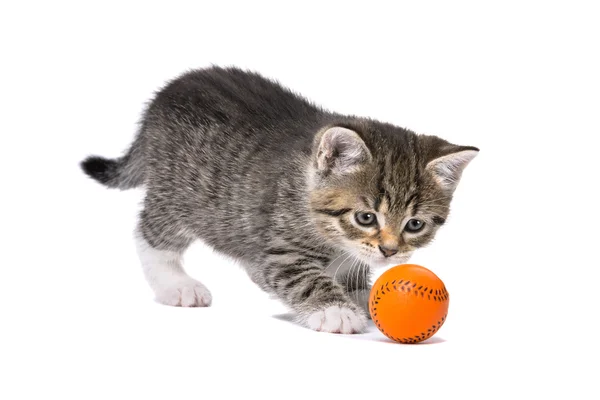 Kotě hrát s míčem — Stock fotografie