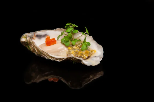 Oysters — Stock Photo, Image