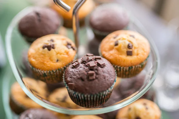 Zelfgemaakte chocolade muffins — Stockfoto