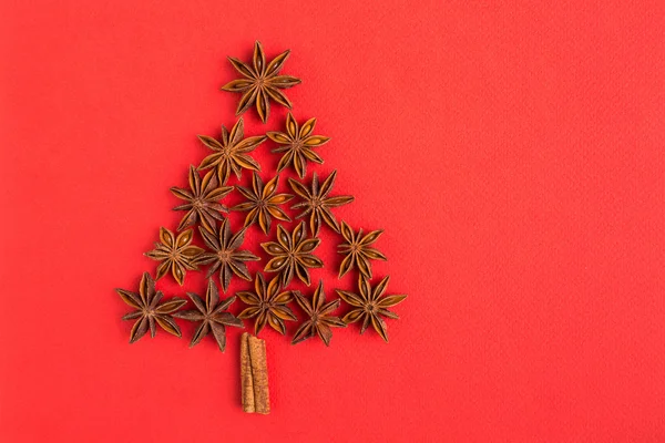 Albero di Natale di bastoncini di cannella e anice stellato — Foto Stock