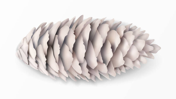 Spruce cone painted white. Realistic vector 3d object isolated on white. Christmas card design element. Fir cone vector icon, symbol. Traditional Christmas natural decoration. Vector illustration