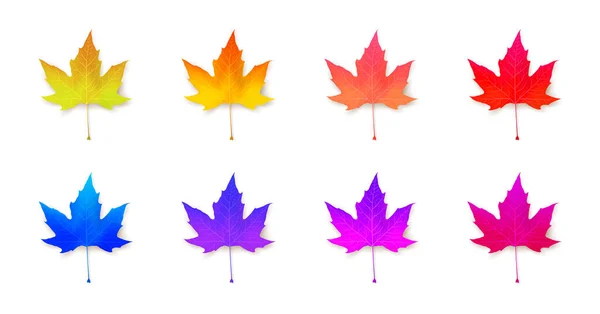 Set Vivid Maple Leaves Unusual Neon Colors Design Collection Seasonal — Stock Vector