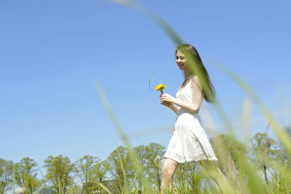 Dandelions kadınla — Stok fotoğraf