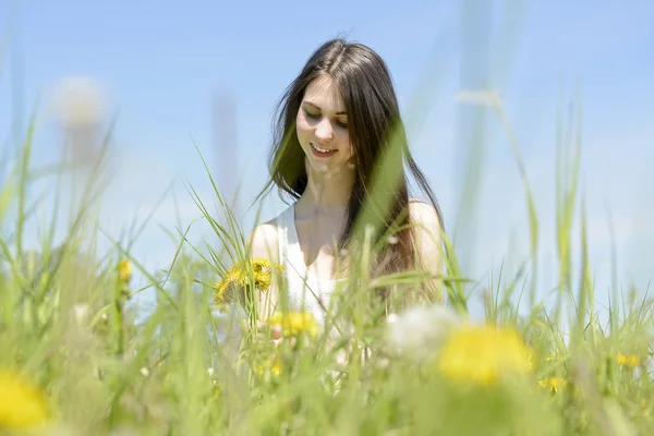 Vrouw plukken paardebloemen — Stockfoto