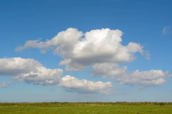 緑の草原や雲を背景に — ストック写真