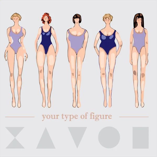 Forms of female body type. Various figures of women. Vector. Stock