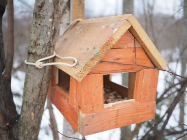 Ormanın içinde ahşap yalak